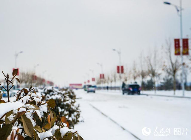 疑是林花昨夜開！雄安迎來2018年第一場(chǎng)雪