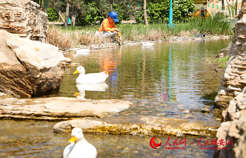 雄安辛瑪森林動物樂園內(nèi)景。人民網(wǎng)?宋燁文攝