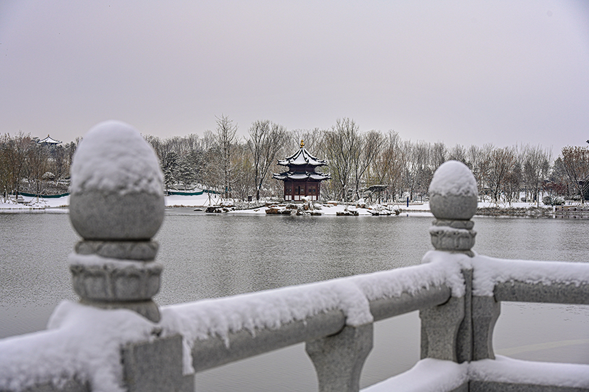 雄安新區(qū)容東片區(qū)園林雪景。胡忠攝