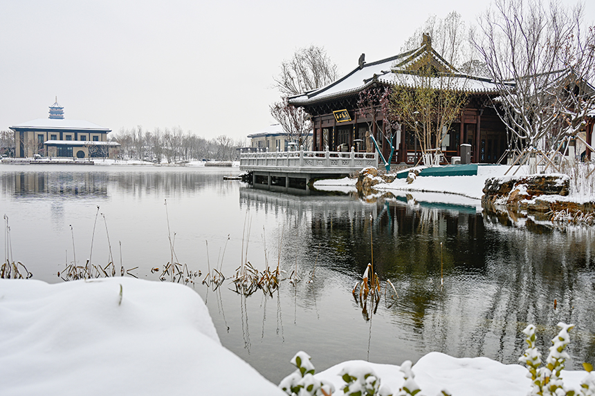 雄安新區(qū)容東片區(qū)園林雪景。胡忠攝